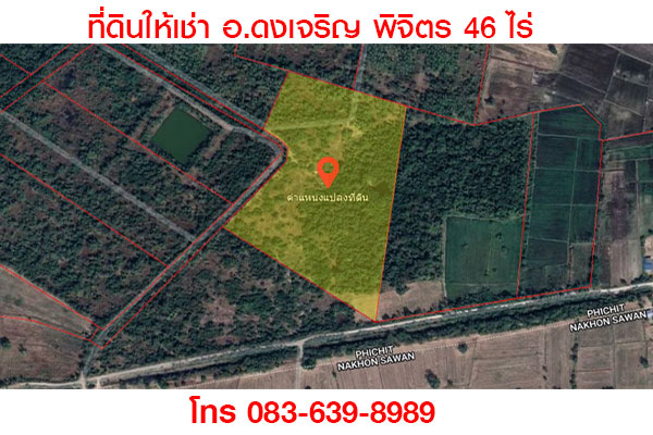ให้เช่า ที่ดินเปล่า 46 ไร่ ต.วังงิ้ว อ.ดงเจริญ จ.พิจิตร
